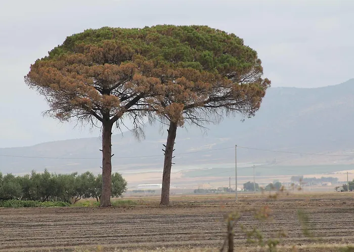 Alloggio per agriturismo Silos Agri San Severo