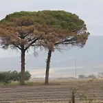 مزرعة للإقامة Silos Agri سان سيفيرو