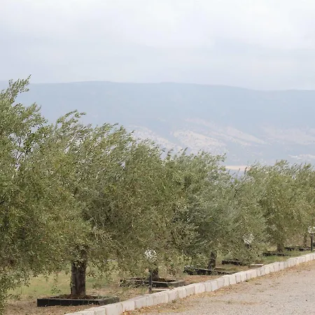 Alojamento de Turismo Rural Silos Agri