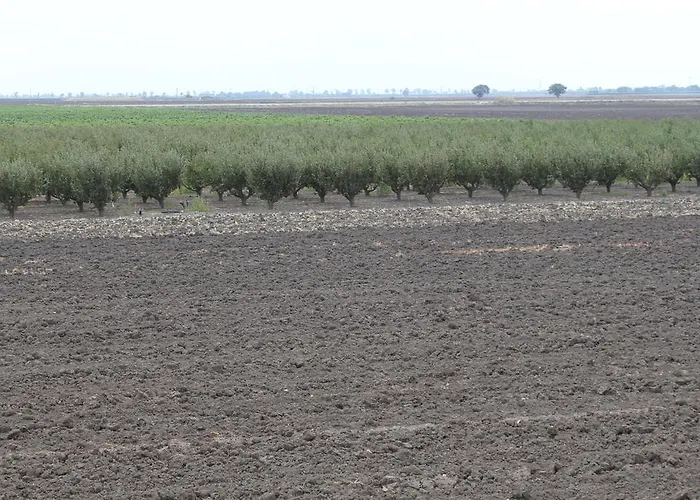 Agroturismo Silos Agri San Severo